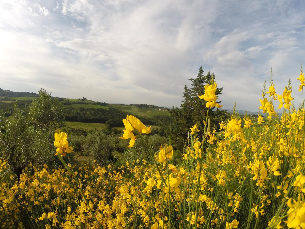 La Rocca Di Montalbino Διαμέρισμα Montespertoli Εξωτερικό φωτογραφία